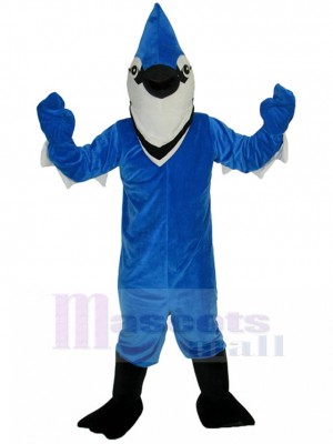 Oiseau Geai bleu mignon Costume de mascotte Animal