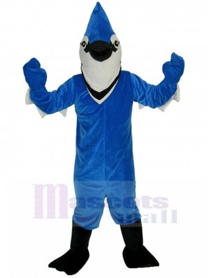 Oiseau costume de mascotte