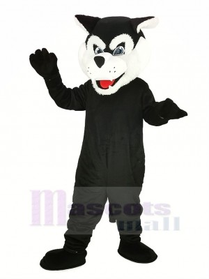 Noir Bearcat Binturong Mascotte Costume Animal