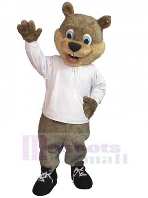 Ours sympathique Mascotte Costume Animal