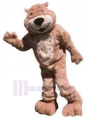 Ours en peluche adulte Mascotte Costume Animal