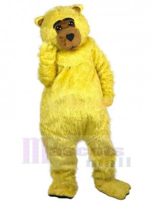 Ours jaune poilu Mascotte Costume Animal