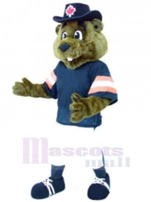 Ours de base-ball Mascotte Costume Animal