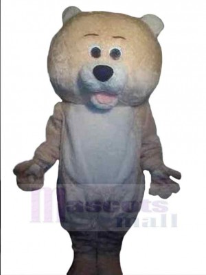 Ours costume de mascotte
