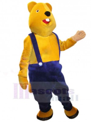 Ours jaune adulte Mascotte Costume Animal