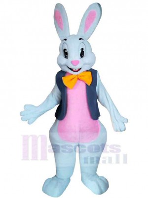 Joyeuses Pâques Lapin Garçon Mascotte Costume Animal