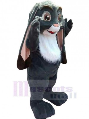 Lapin de Pâques gris Mascotte Costume Animal
