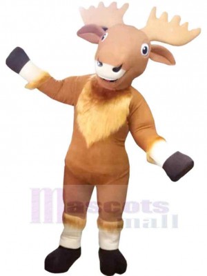 Élan costume de mascotte