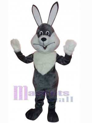 Lapin de Pâques costume de mascotte