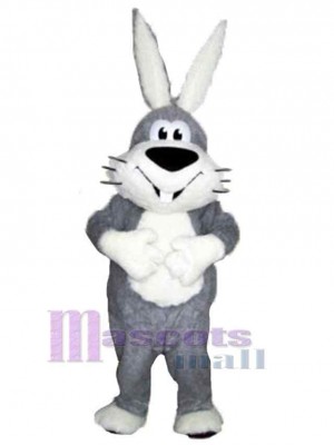 Lapin heureux Mascotte Costume Animal