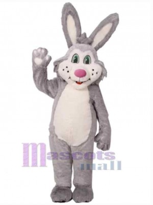 Lapin gris Mascotte Costume Animal