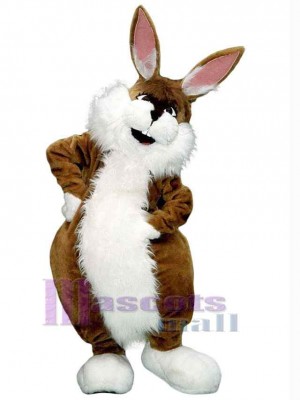 Lapin brun Mascotte Costume Animal