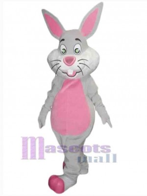 Lapin de Pâques costume de mascotte