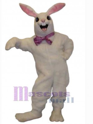 Lapin de Pâques costume de mascotte