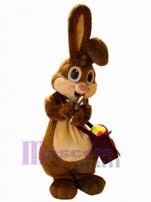 Lapin de Pâques costume de mascotte