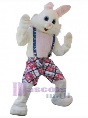 Lapin de Pâques costume de mascotte
