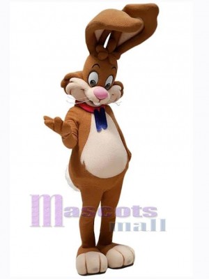 Lapin de Pâques costume de mascotte