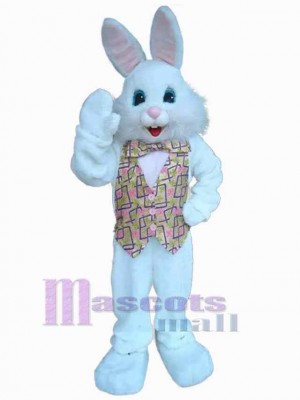 Lapin de Pâques costume de mascotte