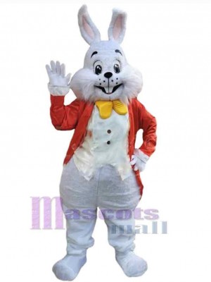 Lapin de Pâques costume de mascotte
