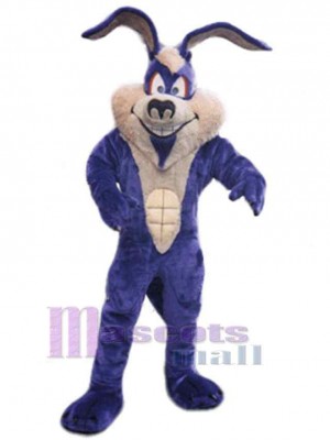 Lapin de Pâques costume de mascotte
