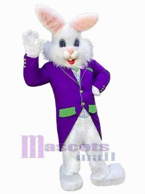 Lapin de Pâques costume de mascotte