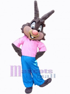 Lapin de Pâques costume de mascotte