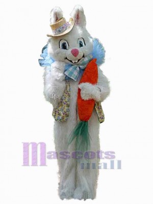 Lapin de Pâques costume de mascotte
