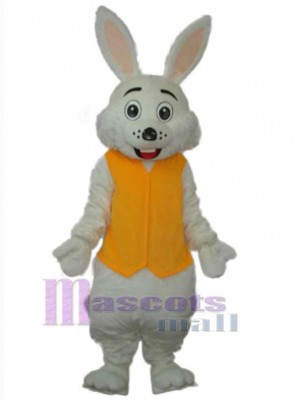 Lapin de Pâques costume de mascotte