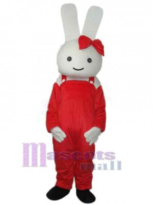 Lapin de Pâques costume de mascotte