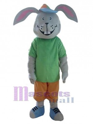 Lapin de Pâques costume de mascotte