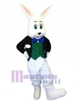 Lapin de Pâques costume de mascotte