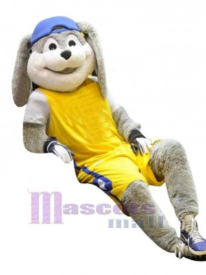 Lapin de Pâques costume de mascotte