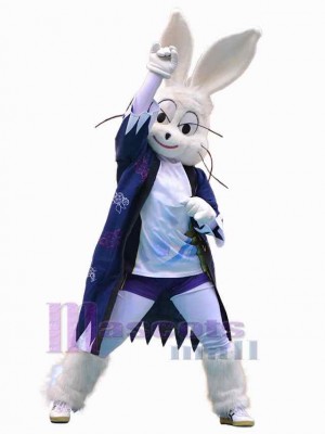 Lapin de Pâques costume de mascotte
