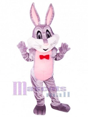 Lapin de Pâques costume de mascotte