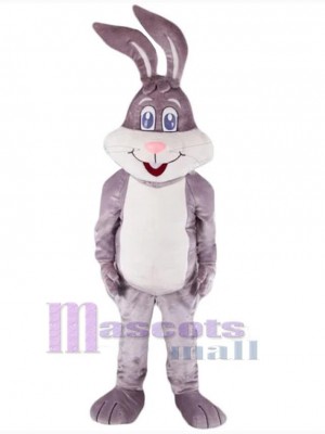 Lapin de Pâques costume de mascotte