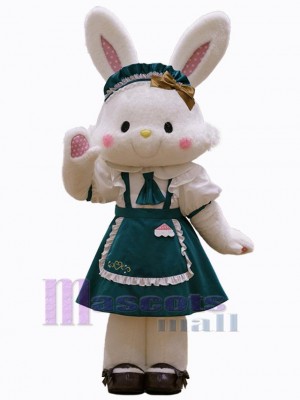 Lapin de Pâques costume de mascotte