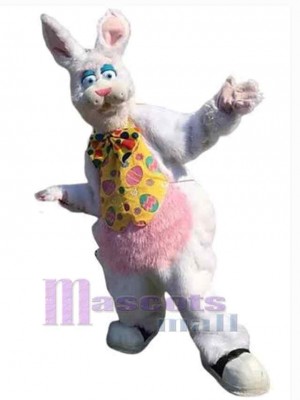 Lapin de Pâques costume de mascotte