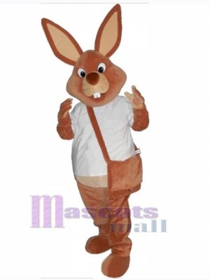 Lapin de Pâques costume de mascotte