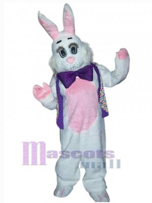 Lapin aux grands yeux Mascotte Costume Animal