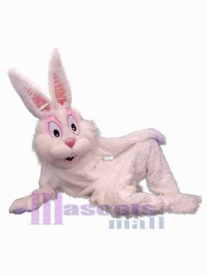 Lapin de loisirs Mascotte Costume Animal
