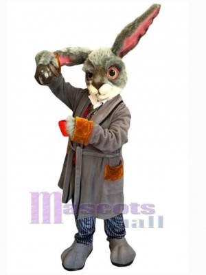 Lapin en manteau gris Mascotte Costume Animal