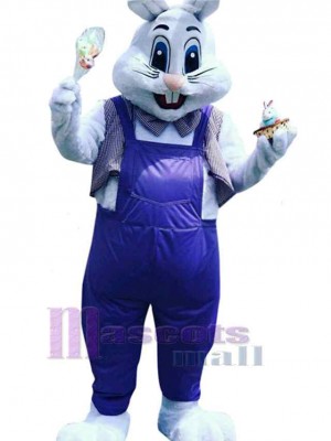 Lapin Blanc Adulte Mascotte Costume Animal
