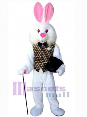 Lapin de Pâques costume de mascotte