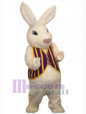 Lapin de Pâques costume de mascotte