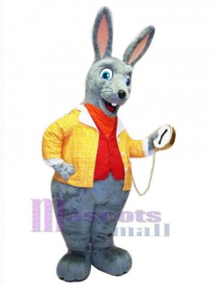 Lapin en robe jaune Mascotte Costume Animal