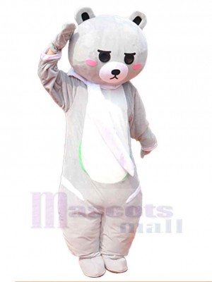 Ours costume de mascotte