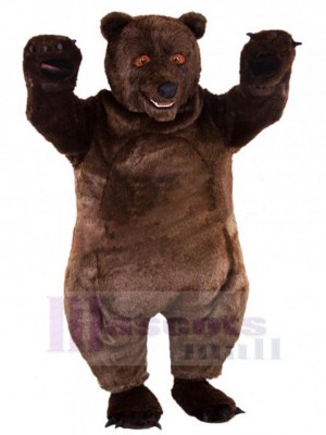 Ours costume de mascotte