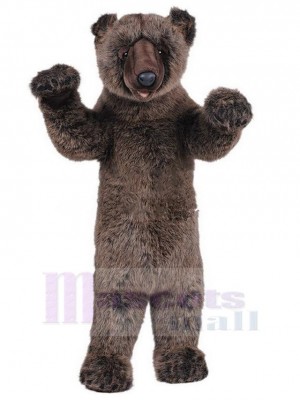 Ours costume de mascotte