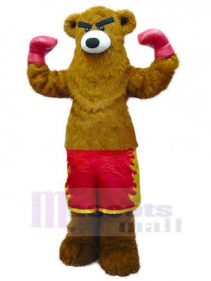 Ours costume de mascotte