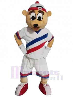 Ours costume de mascotte